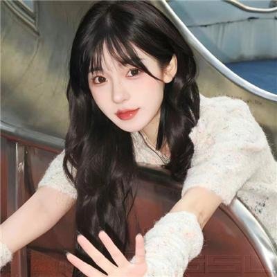 鄂尔多斯骑士 海报