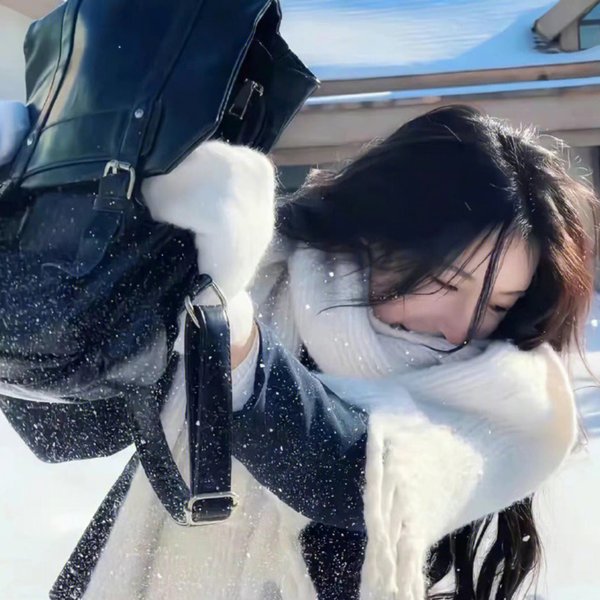 丑闻笔记 海报